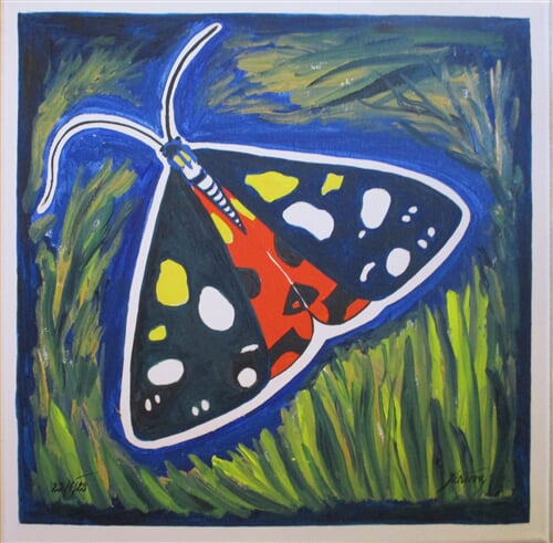 Přástevník hluchavkový