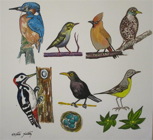 Ptáci zpěvaví II.