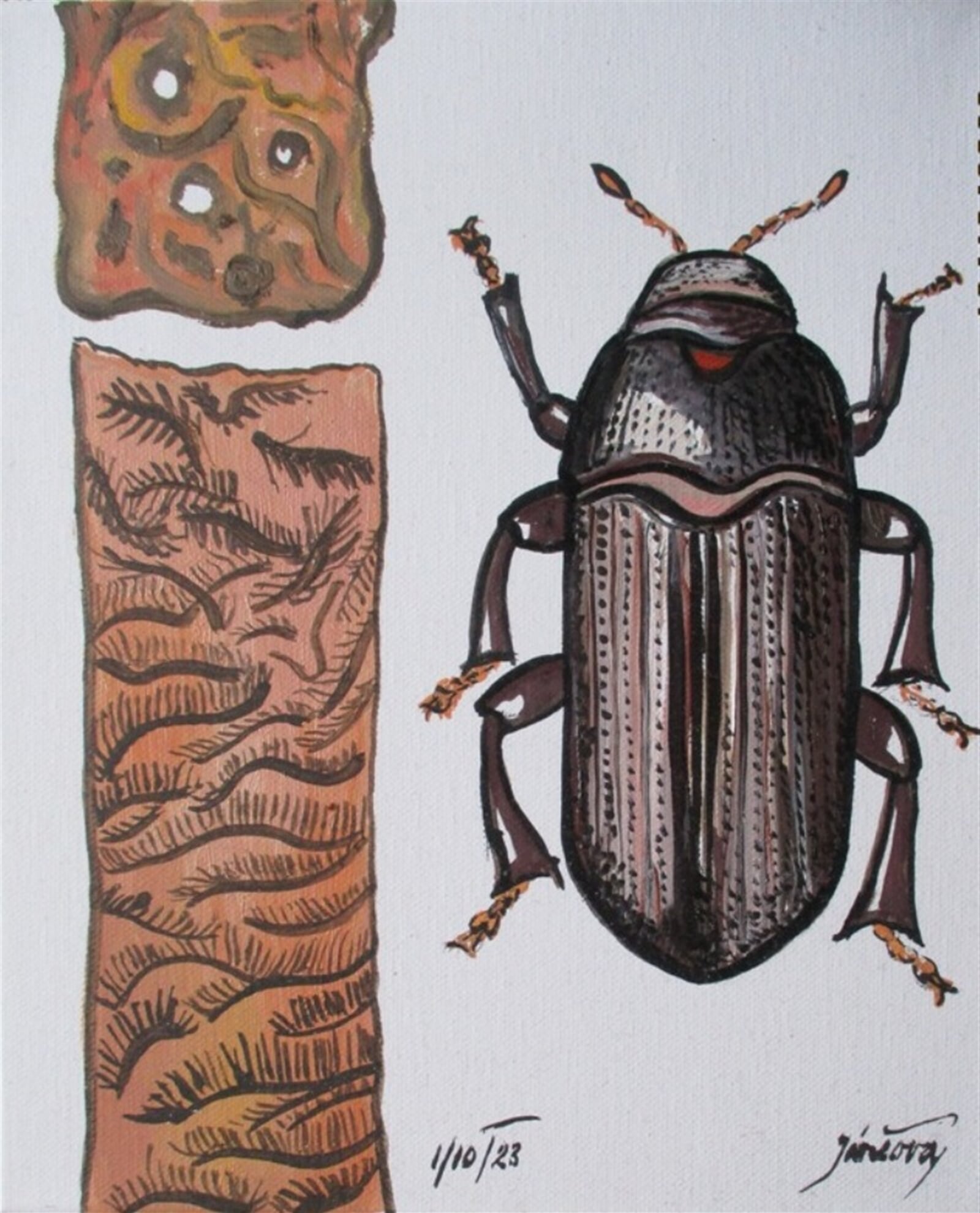 Jaroslava Jáněová: Lýkohub smrkový, škůdce, 30 × 25 cm