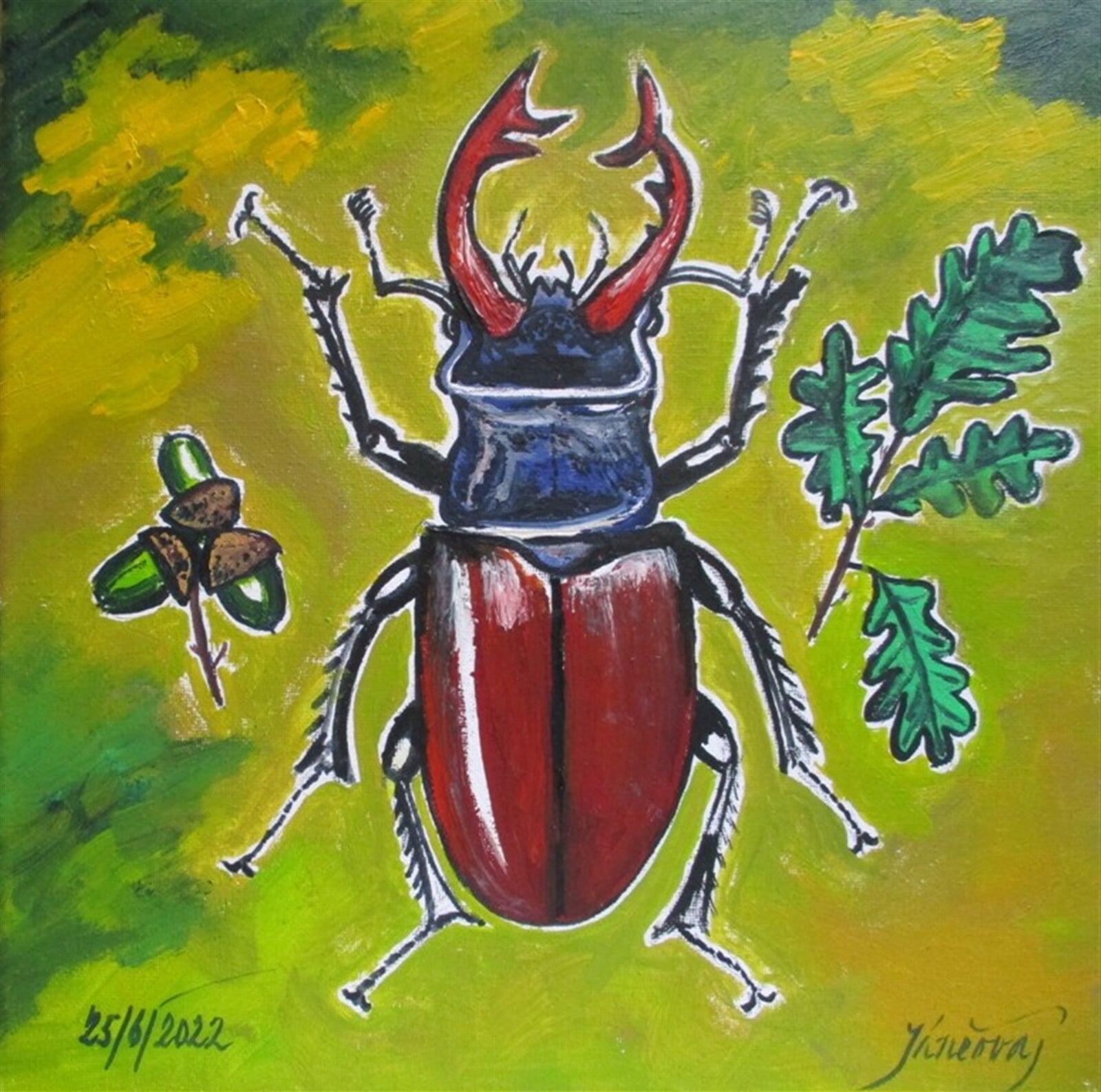 Jaroslava Jáněová: Roháč obecný, vzácný, 30 × 30 cm