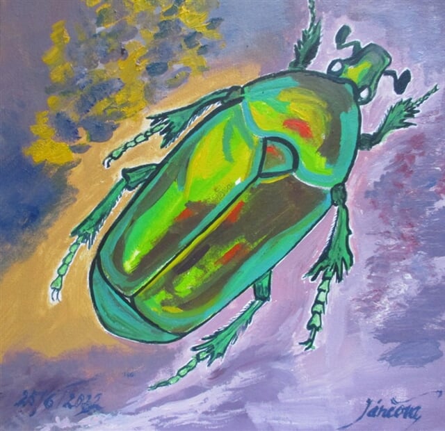 Zlatohlávek skvostný, vzácný