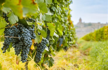 To nejlepší z Arménie + JEZERO SEVAN + TAJEMSTVÍ VÝROBY VÍNA A DEGUSTACE