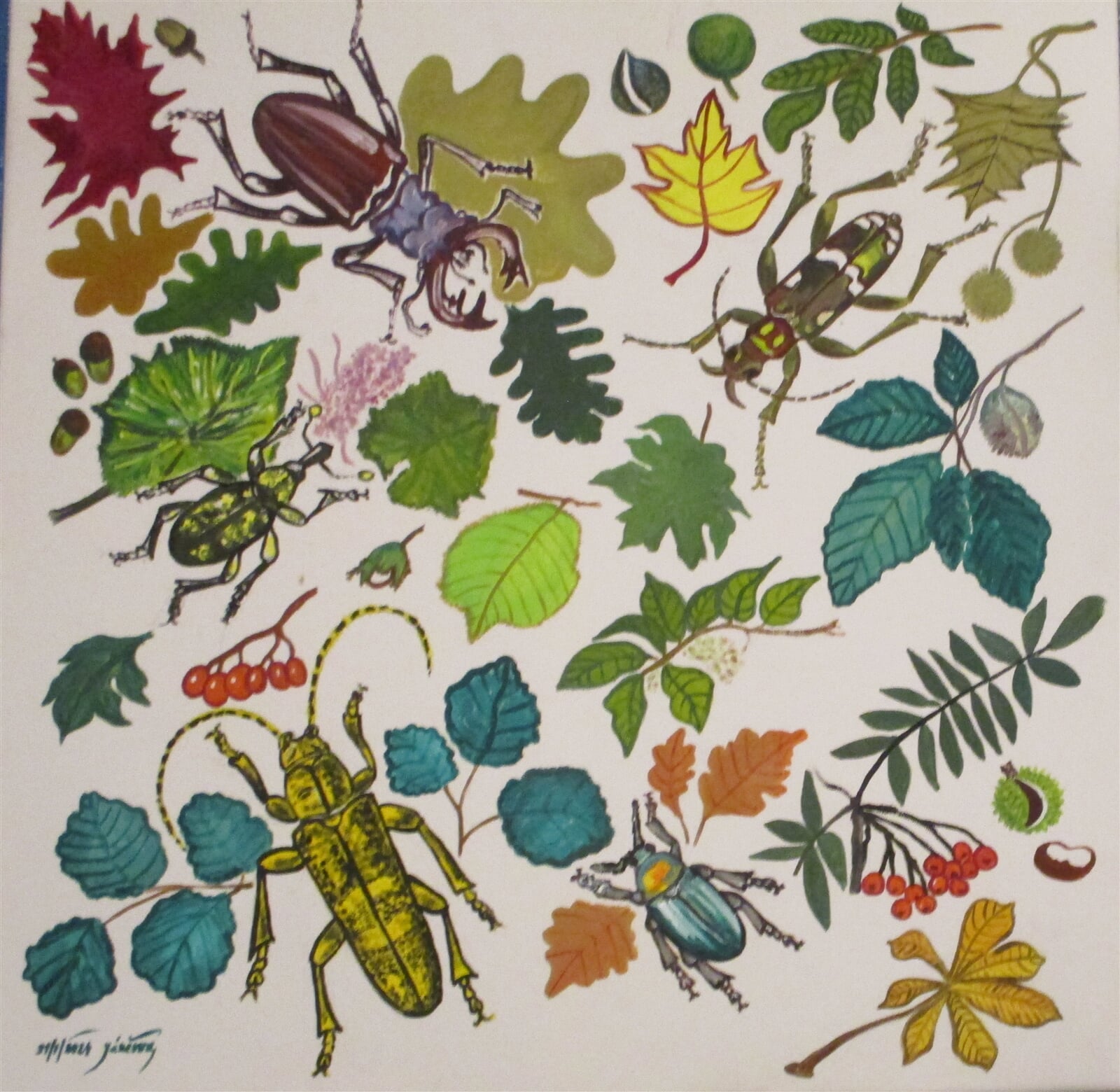 Jaroslava Jáněová: Brouci I., 70 × 70 cm