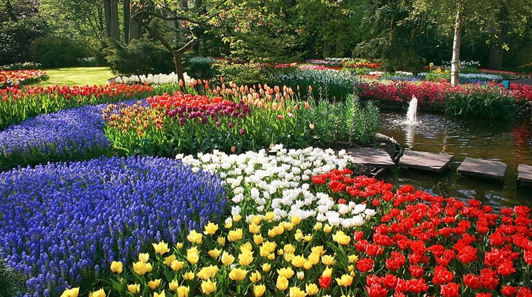 Foto - To nejlepší z Amsterdamu + KVĚTINOVÁ ZAHRADA KEUKENHOF