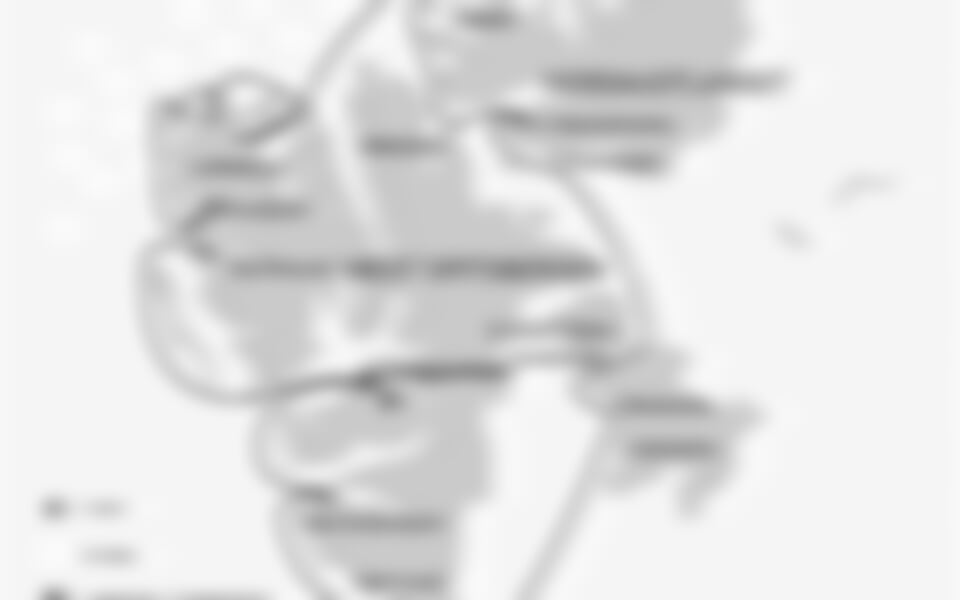 Around Spitsbergen, In the realm of Polar Bear & Ice (m/v Plancius)