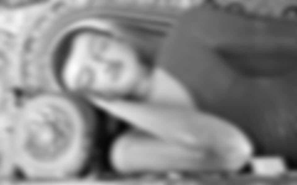 Srí Lanka - Srí Lanka - velký okruh s pobytem u moře *****