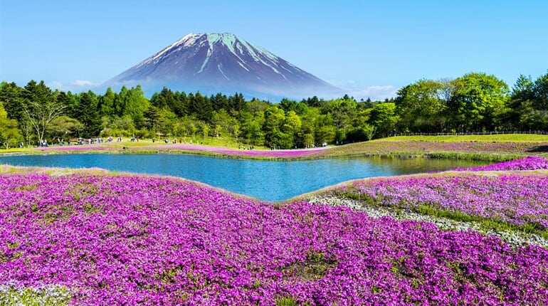 Foto - To nejlepší z Japonska + KVĚTINOVÝ FESTIVAL U HORY FUDŽI