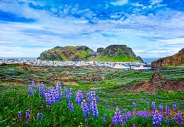 To nejlepší z Islandu + OSTROVY ZÁPADNÍCH MUŽŮ