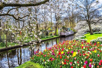 To nejlepší z Amsterdamu + KVĚTINOVÁ ZAHRADA KEUKENHOF