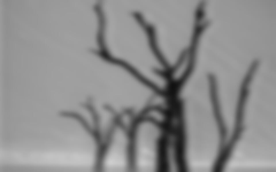 Zeměmi Jižního Kříže