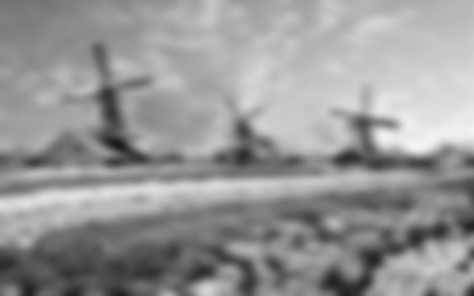 Květinový park Keukenhof a procházka Amsterdamem