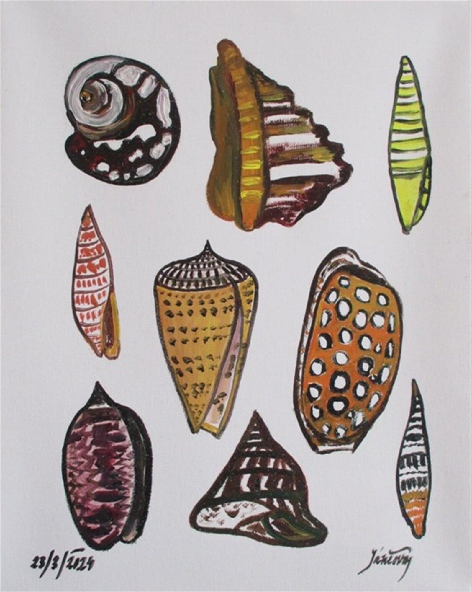 Jaroslava Jáněová: Mušle II., 30 × 25 cm
