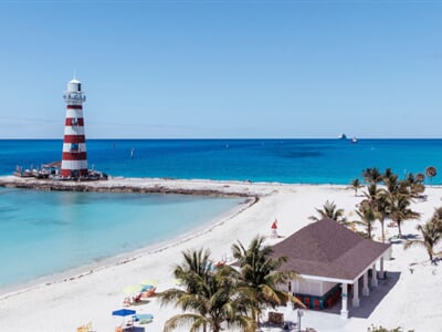 1765211156 msc25042781