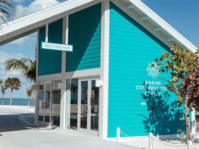 1765211026 msc25043026