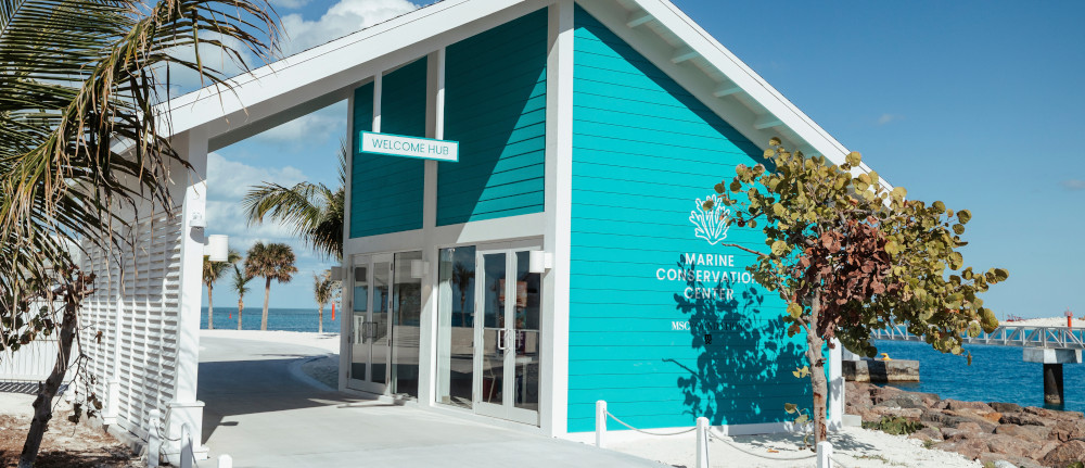 1765211026 msc25043026