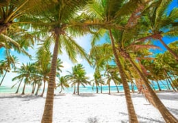 Relax na plážích Martiniku a Guadeloupe + PERLY FRANCOUZSKÝCH ANTIL + KREOLSKÁ K