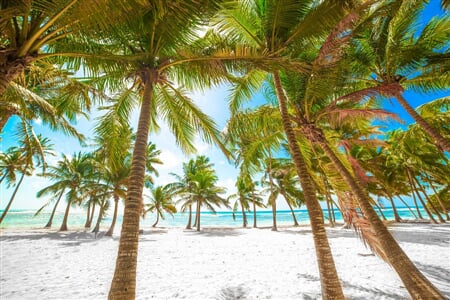 Relax na plážích Martiniku a Guadeloupe + PERLY FRANCOUZSKÝCH ANTIL + KREOLSKÁ K