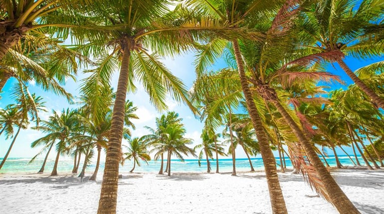 Foto - Relax na plážích Martiniku a Guadeloupe + PERLY FRANCOUZSKÝCH ANTIL + KREOLSKÁ K