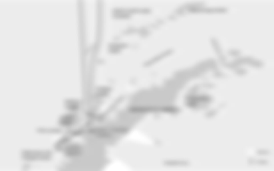 Antarctica - Whale watching discovery and learning voyage (m/v Hondius)