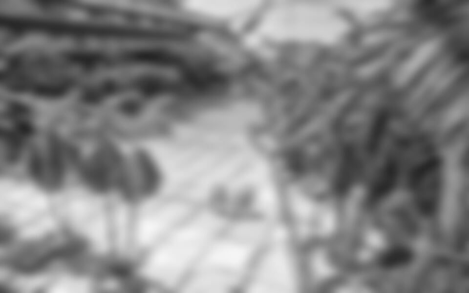 Termální lázně Therme Erding