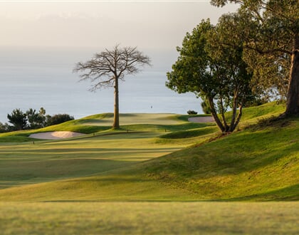 JHogg Palheiro Golf 15 AR508196