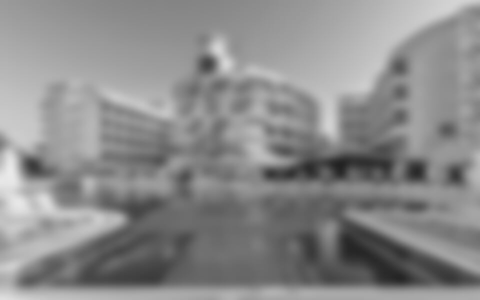 Side - Side Crown Sunshine