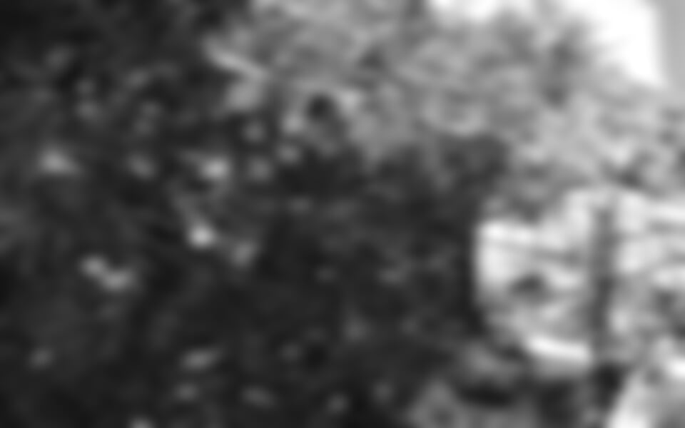 Orebič (Pelješac) - Jele vila ***