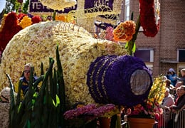 To nejlepší z Holandska + KVĚTINOVÉ KORZO