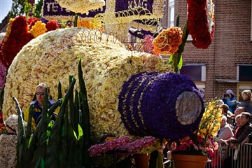 To nejlepší z Holandska + KVĚTINOVÉ KORZO