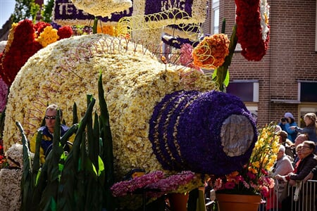 To nejlepší z Holandska + KVĚTINOVÉ KORZO