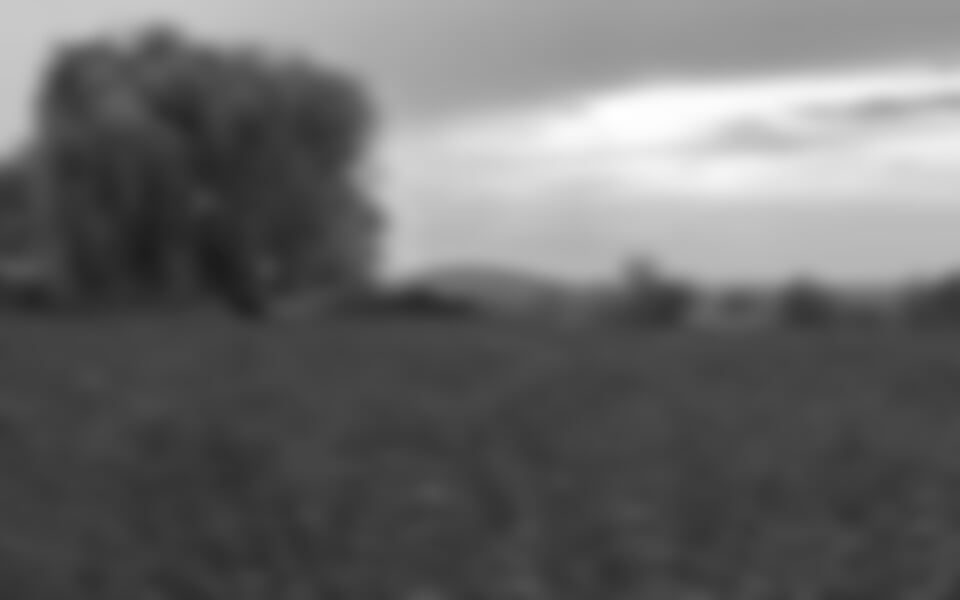 Tihany - Levandulové slavnosti v Maďarsku