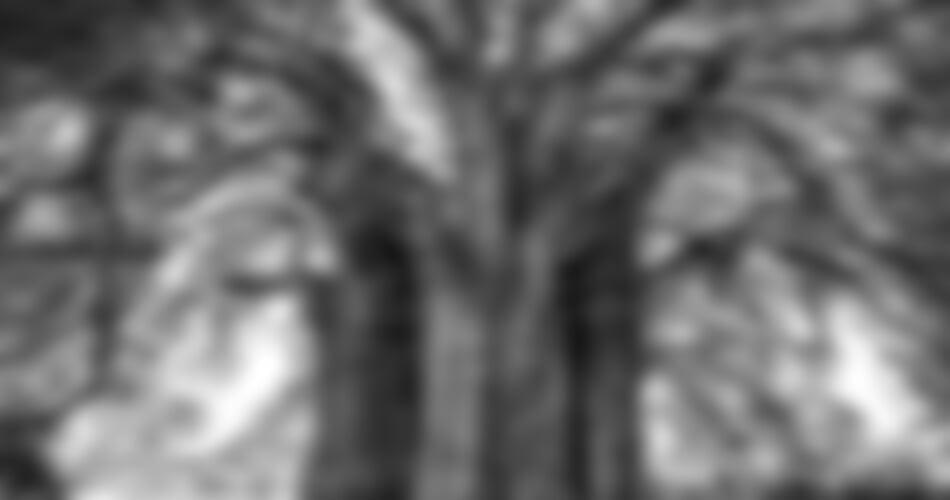 Barvy a chutě Mexika