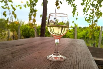 Eger - Vinobraní v Tokaji: Budapešť a termály