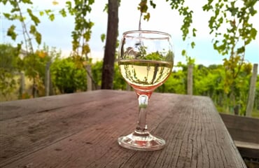 Eger - Vinobraní v Tokaji: Budapešť a termály