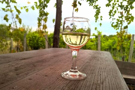 Eger - Vinobraní v Tokaji: Budapešť a termály