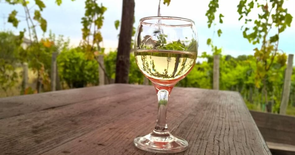 Ochutnávka vína - za vínem do Maďarska