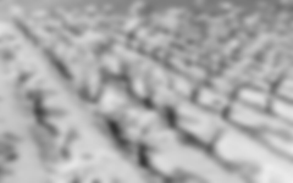 Jarní Morava A Mandloňové Sady – Hustopeče