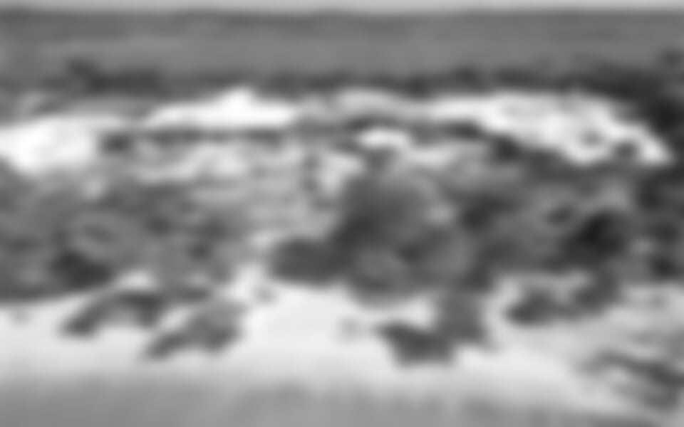 Jamajka - individuální