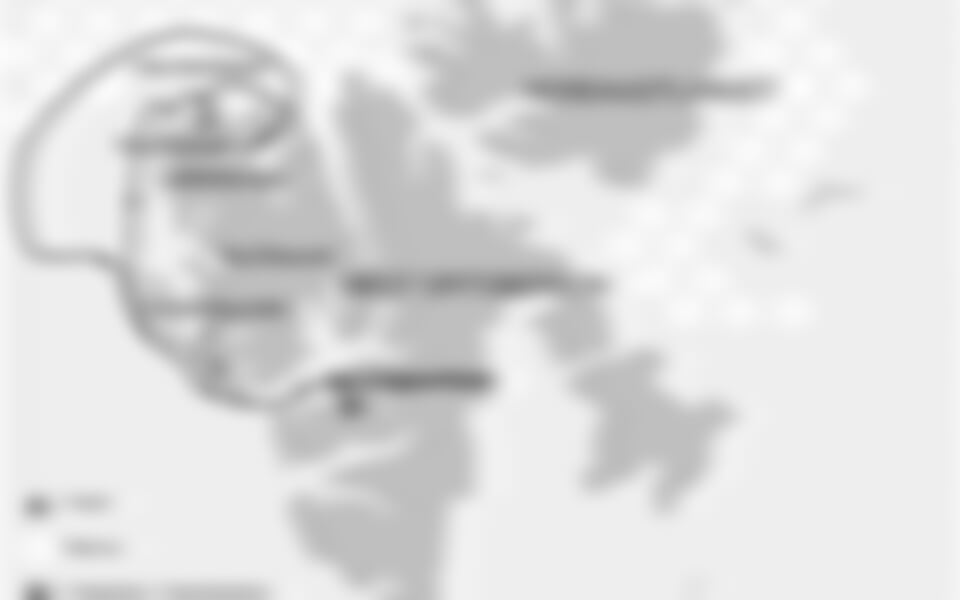 North Spitsbergen, Polar Bears & Bowhead Whales in pack-ice (m/v Hondius)