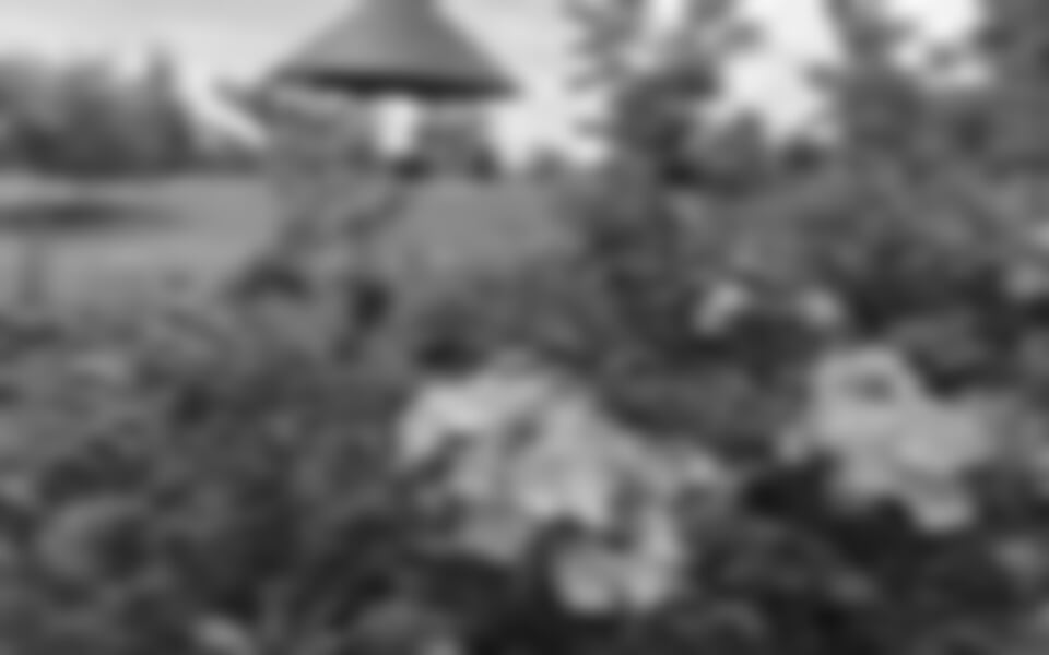 Spreewald - Rokle rododendronů, azalek, Sprévský prales a skalka Nochten