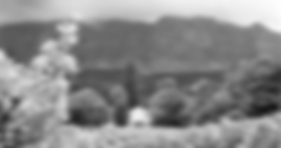 Cape Town & Victoria Falls & safari v rezervaci Matusadona