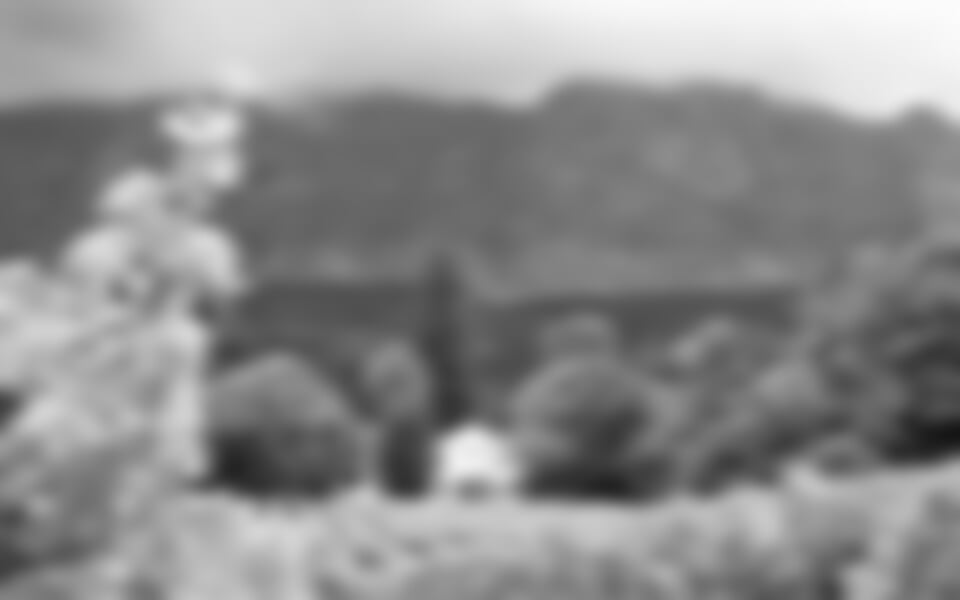 Cape Town & Victoria Falls & safari v rezervaci Matusadona