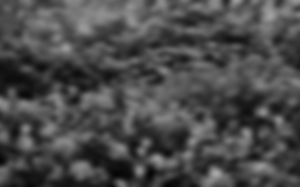 Průhonice a Konopiště - Když rozkvetou Průhonice a Konopiště