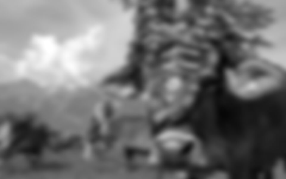 Wildschönau - Slavnost shánění stád