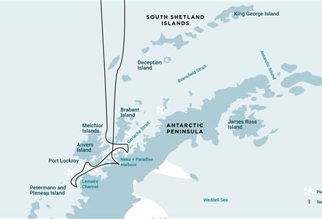 Antarctica - Whale Watching (m/v Plancius)