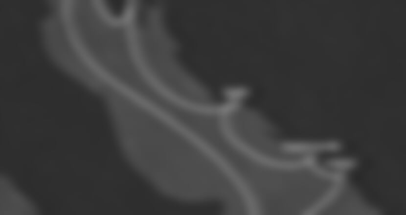 Costa Deliziosa - Itálie, Černá Hora, Chorvatsko (z Terstu)