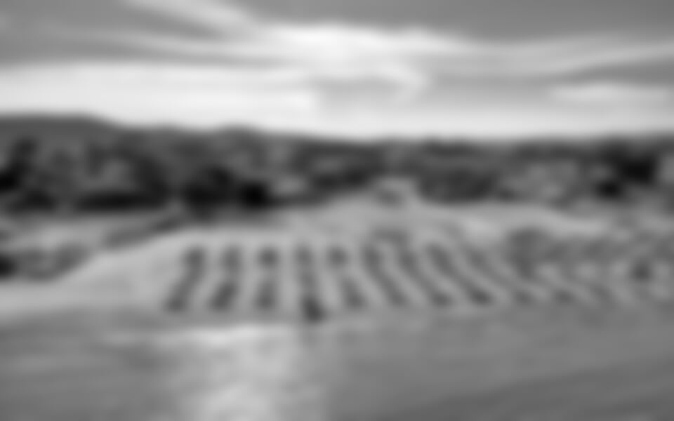 Černomorec - Apolonia Resort ****