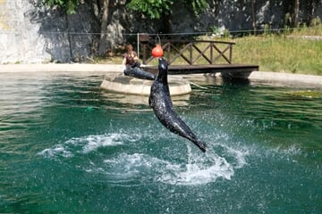 Wroclaw - ZOO Wroclaw a Hydropolis