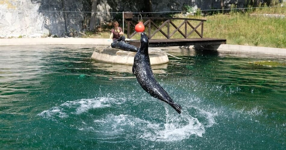 Zoologická zahrada Wroclaw - jednodenní zájezdy do Polska