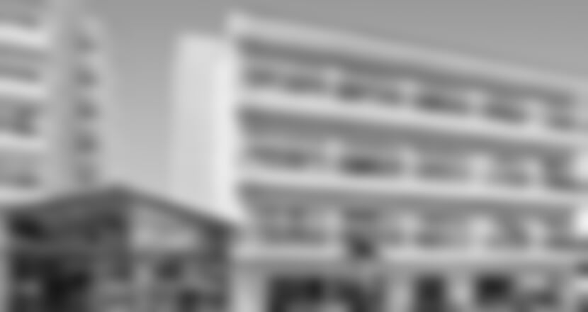 Hotel Alegria Maripins****
